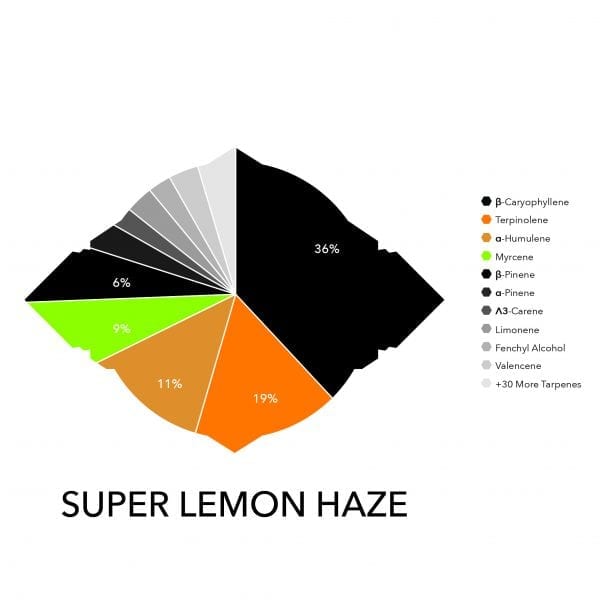 SUPER LEMON HAZE